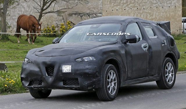 Alfa Romeo Stelvio spia