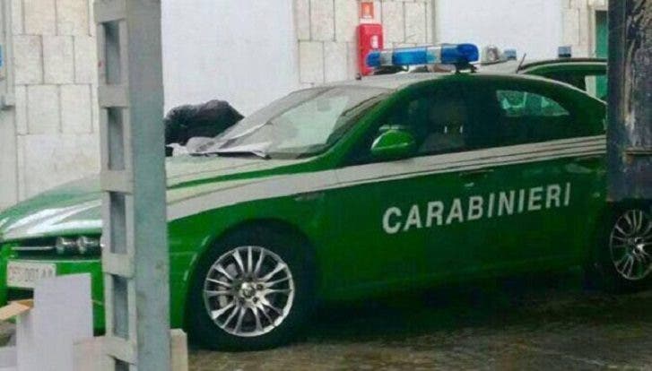 Alfa Romeo Carabinieri
