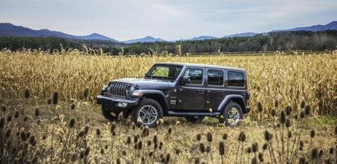 Jeep Wrangler 2018 Italia metà luglio