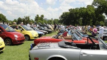 Fiat FreakOut 2019