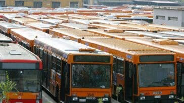 Autobus parco circolante Italia