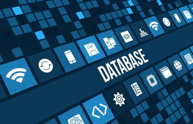database disabili