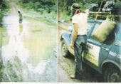 Alfetta Raid 3