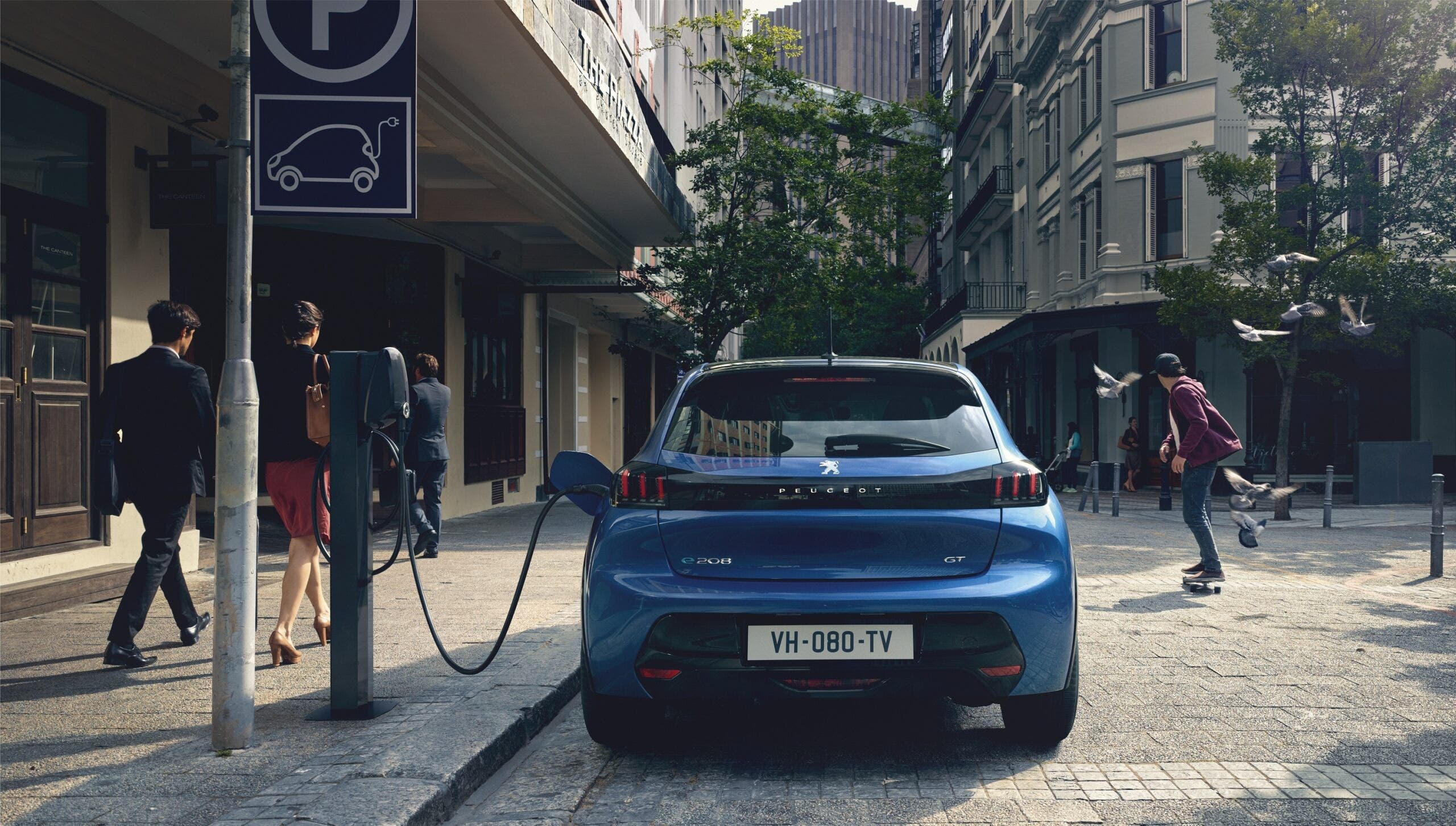 Peugeot wallbox LEV