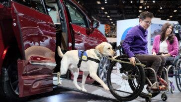 NHTSA modifiche mobilità persone disabili