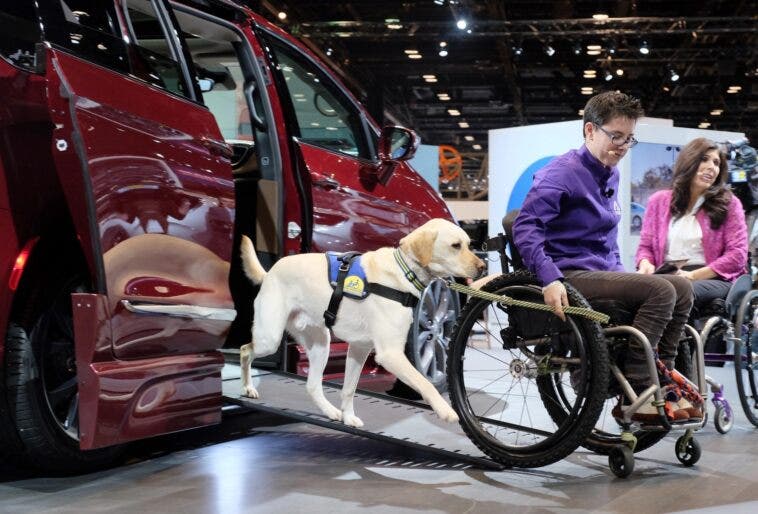 NHTSA modifiche mobilità persone disabili