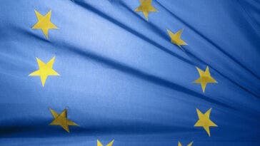 revisione ue
