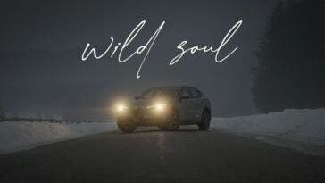 Alfa Romeo Stelvio Wild Soul