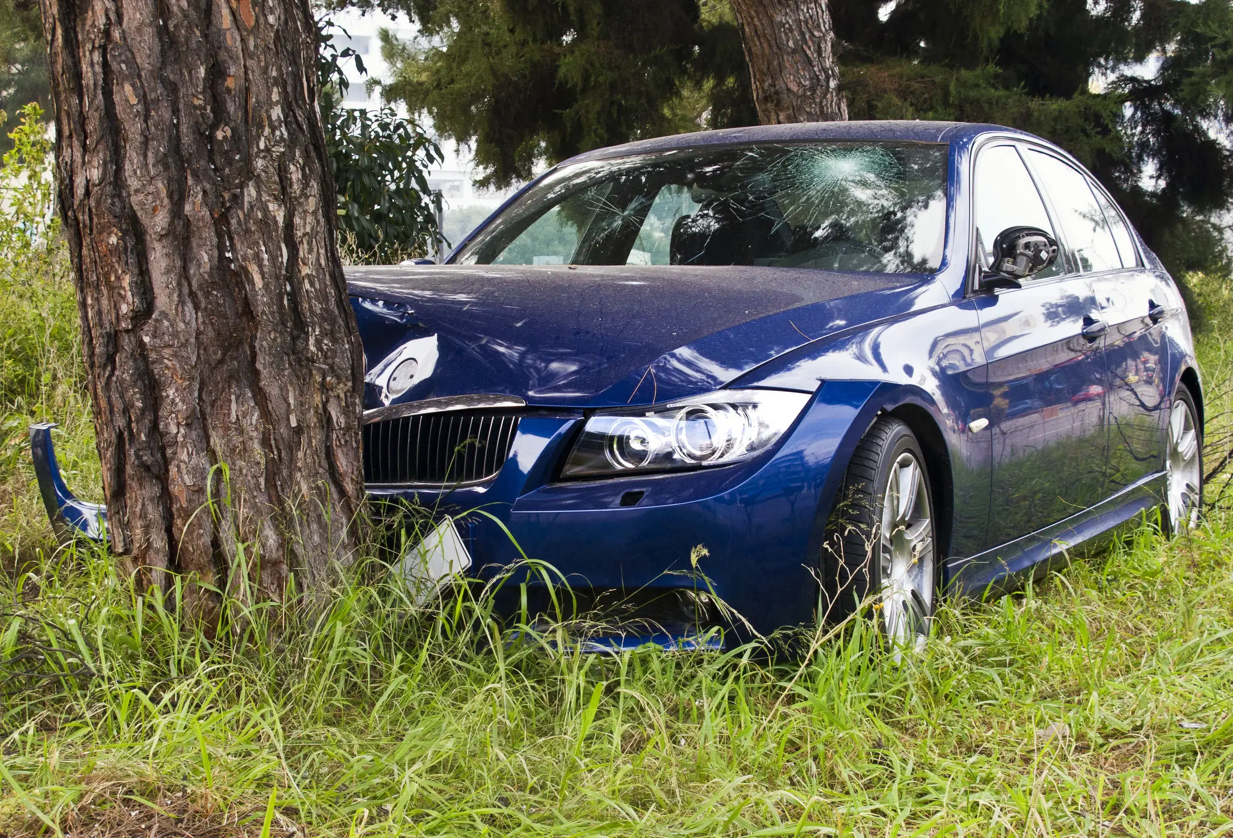 auto contro albero