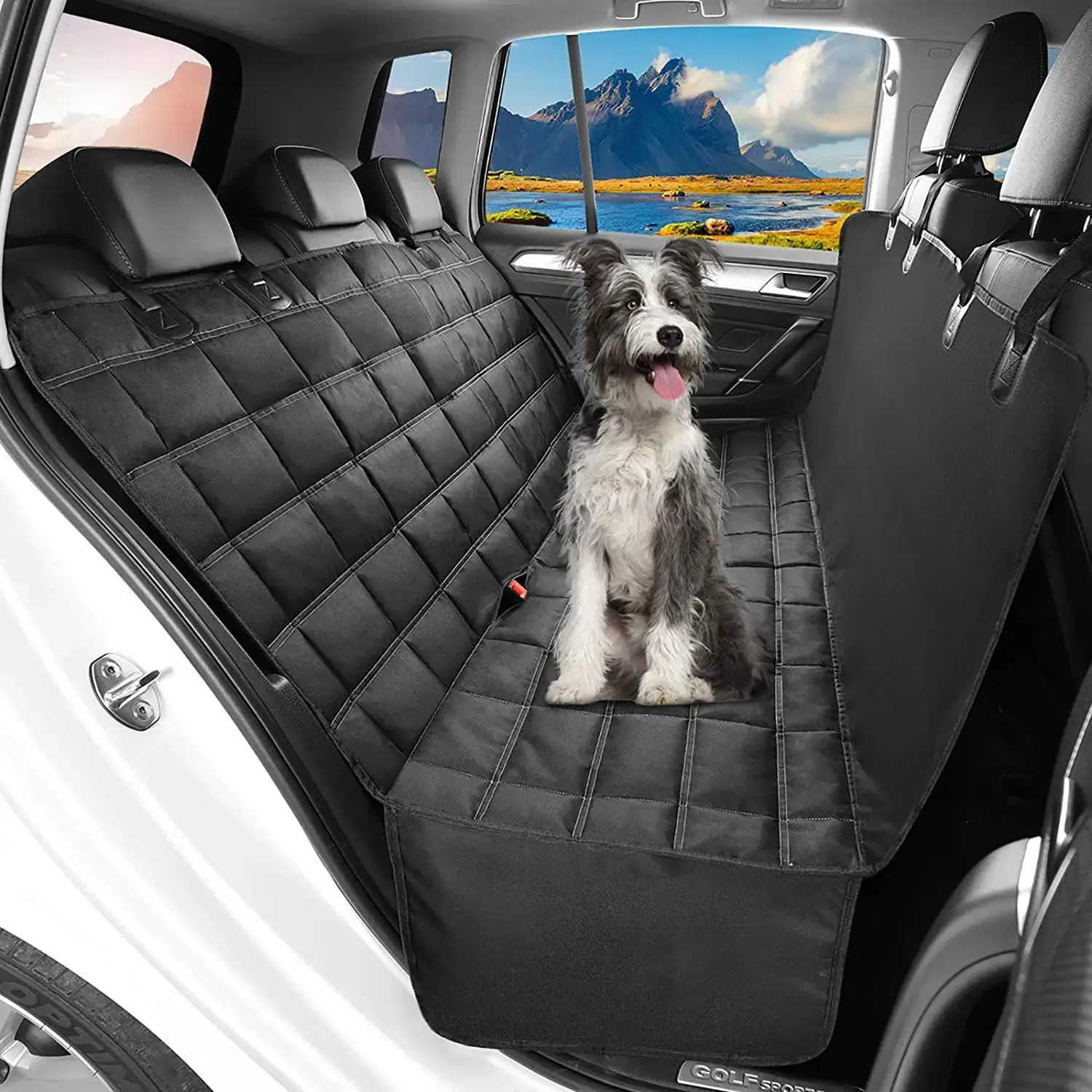 9 accessori auto per cani da avere per affrontare al meglio un viaggio 