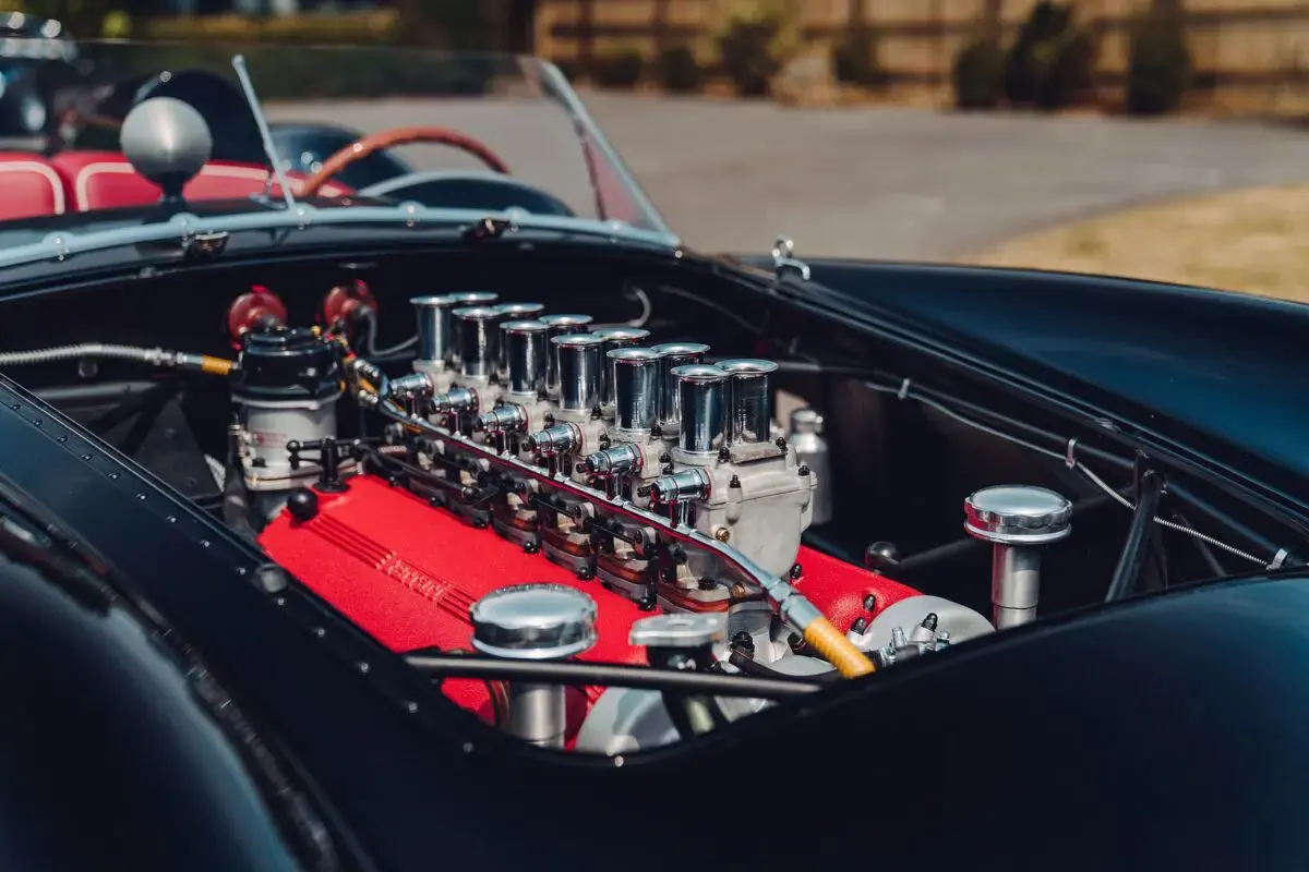 GTO California Spyder Revival