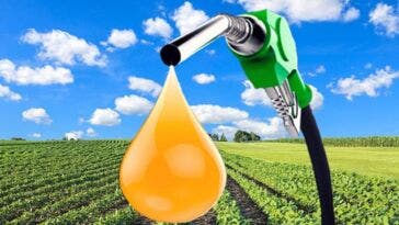 biocarburanti