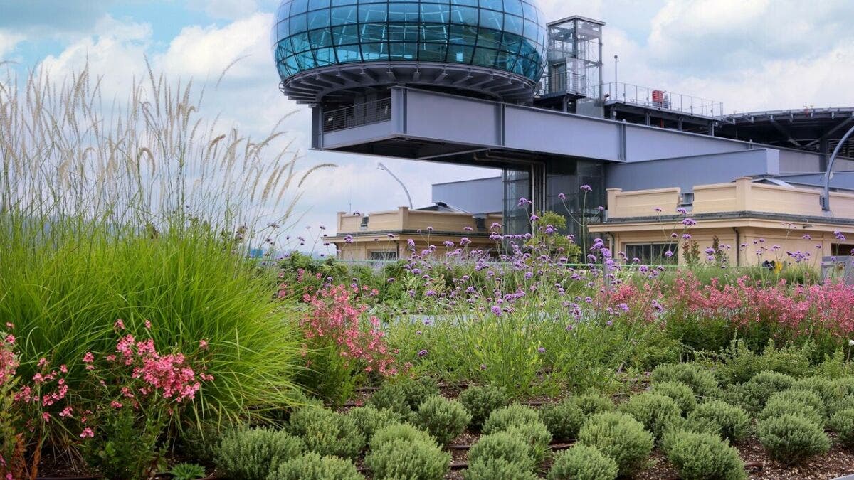 Lingotto Fiat