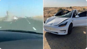 Tesla Model 3 investe un dromedario 1
