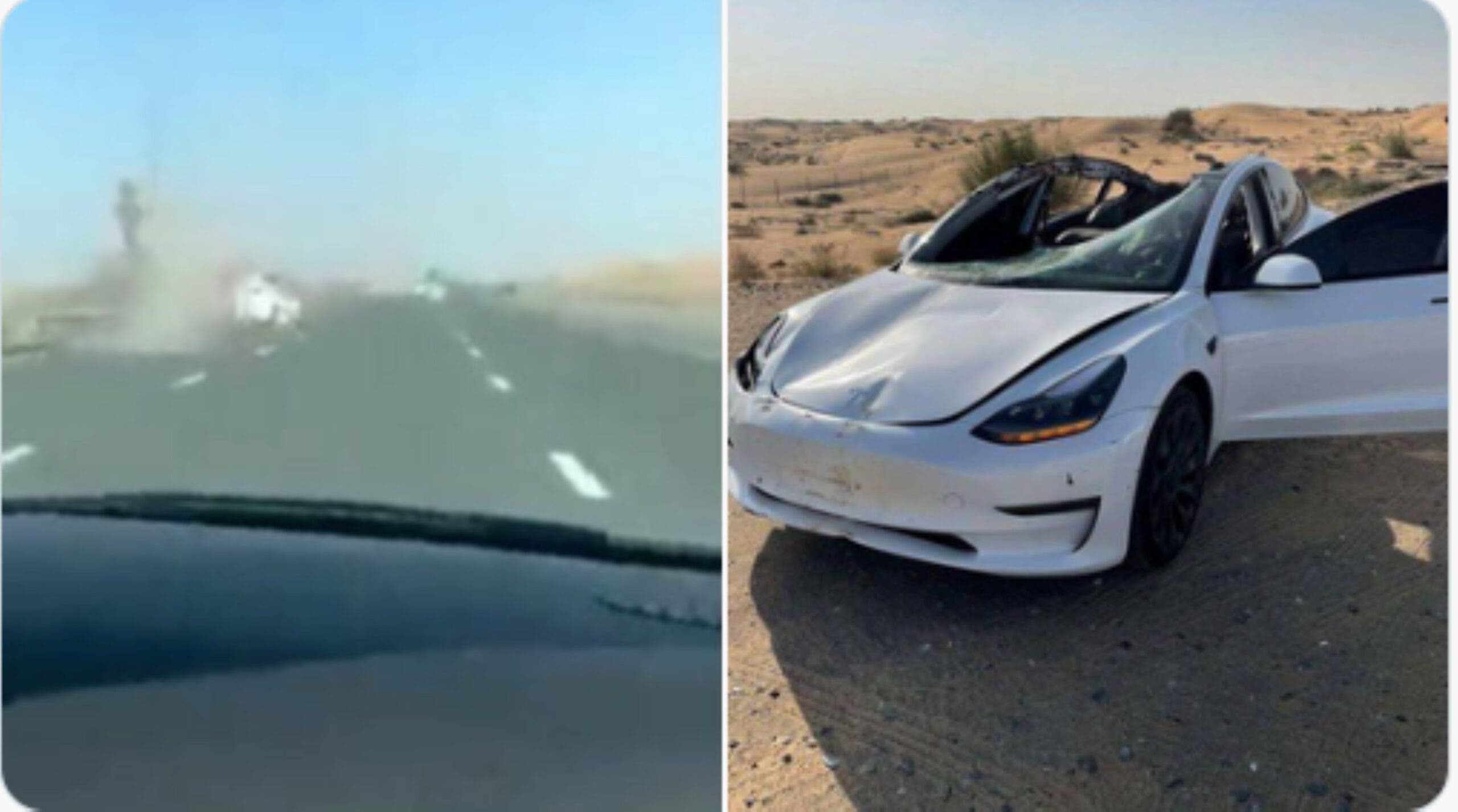 Ein Tesla Model 3 trifft in den Vereinigten Arabischen Emiraten auf ein Dromedar
