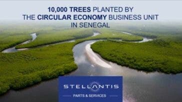 Stellantis Plant a Tree