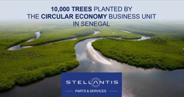 Stellantis Plant a Tree