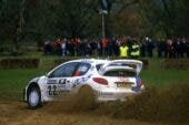 Peugeot 206 WRC 1999 in vendita