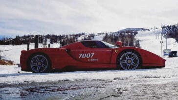 Ferrari Enzo Richard Losee