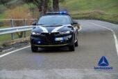 Alfa Romeo Tonale Polizia Locale Bardolino