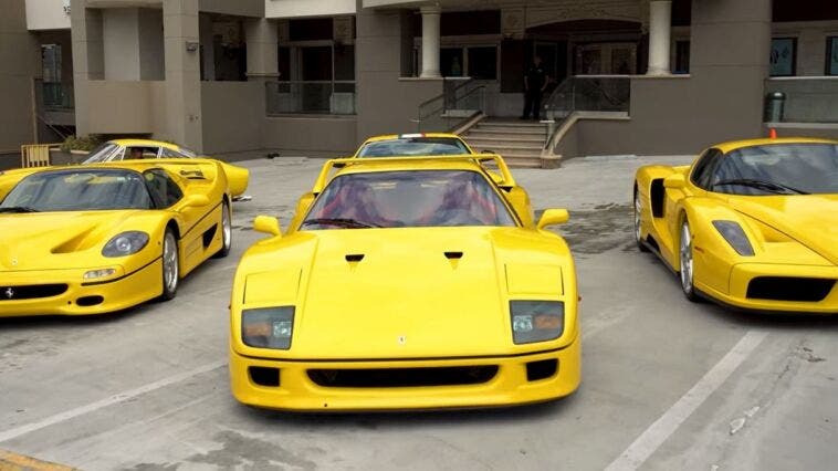 Ferrari collezione David Lee