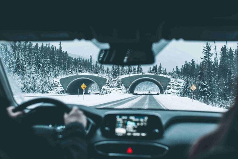 Sicurezza stradale inverno