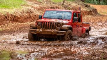 Jeep