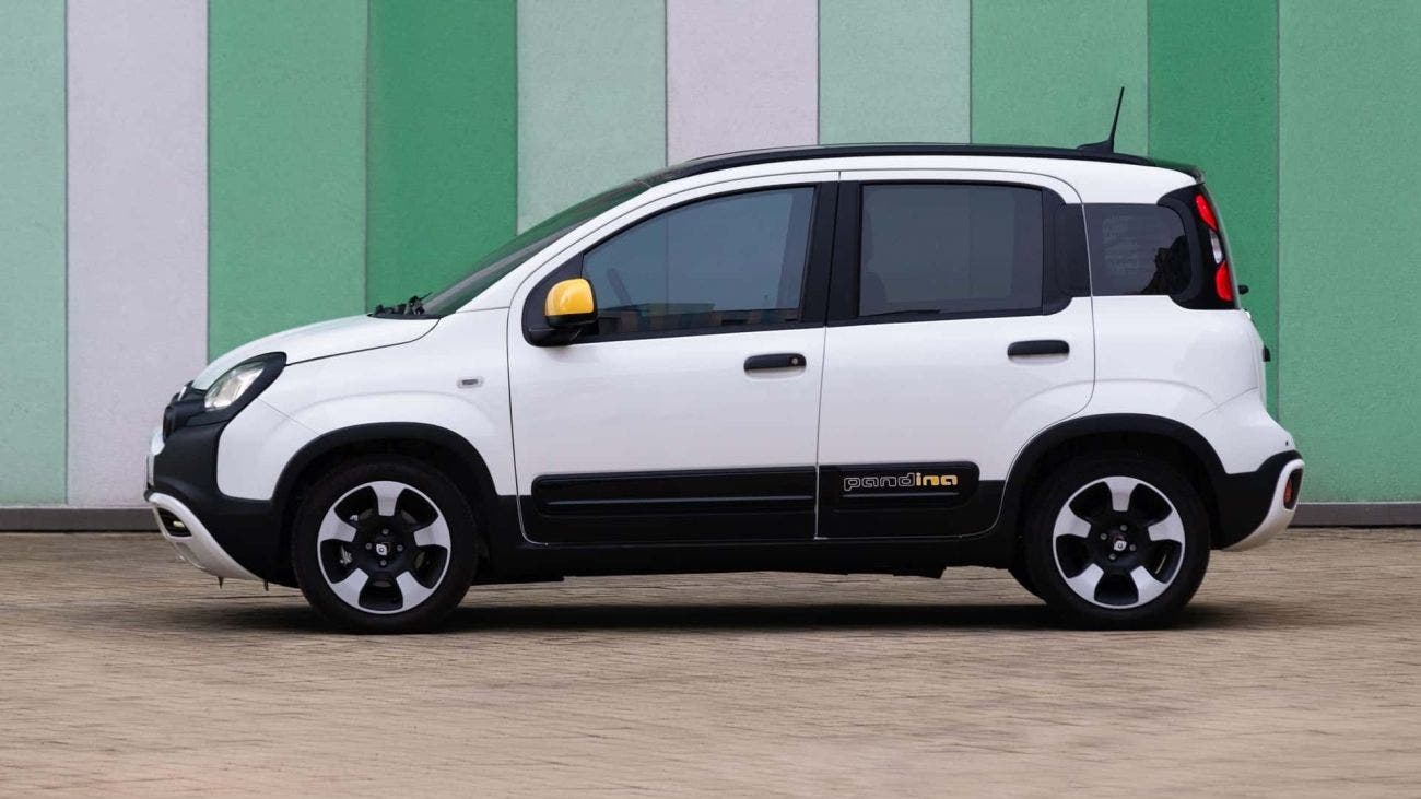 Nuova Fiat Panda e Pandina