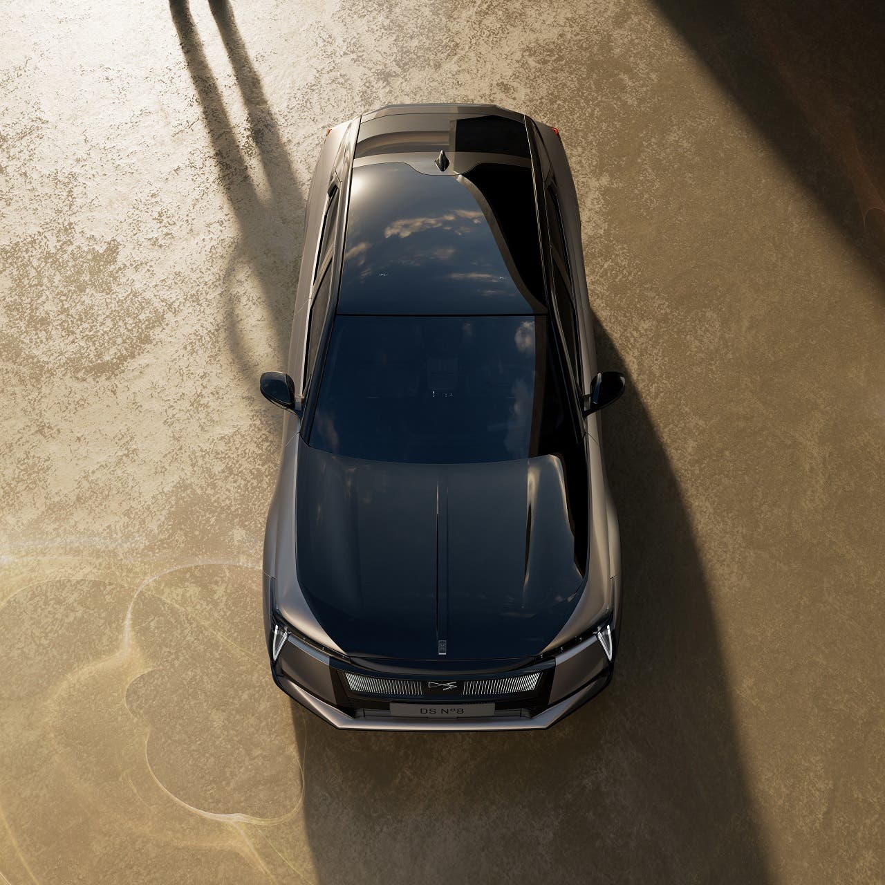 Nuova DS N°8