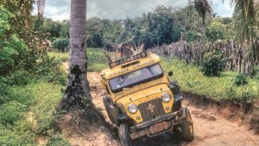 Jeep Operation Pinapple
