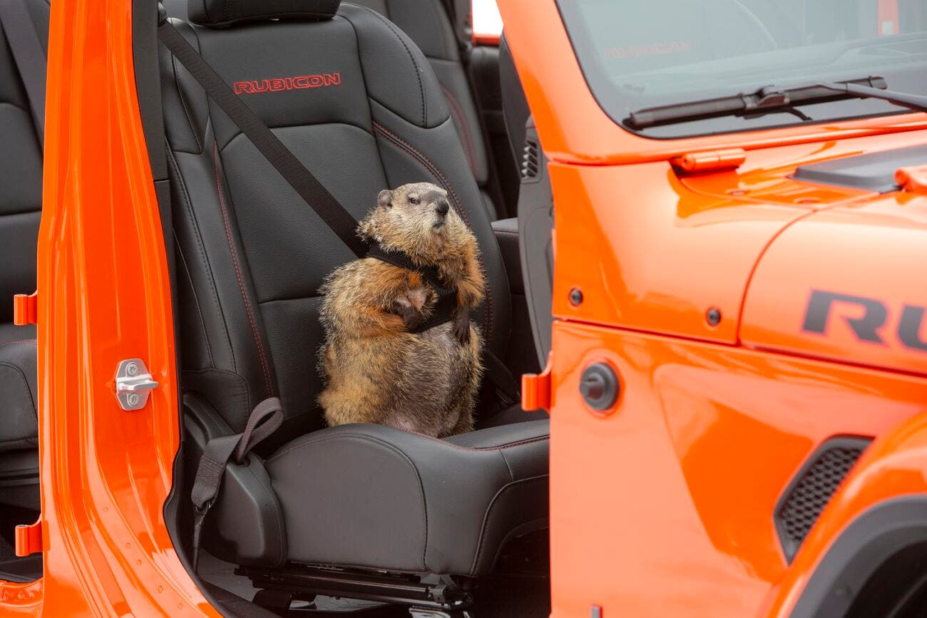 Jeep - Groundhog Day