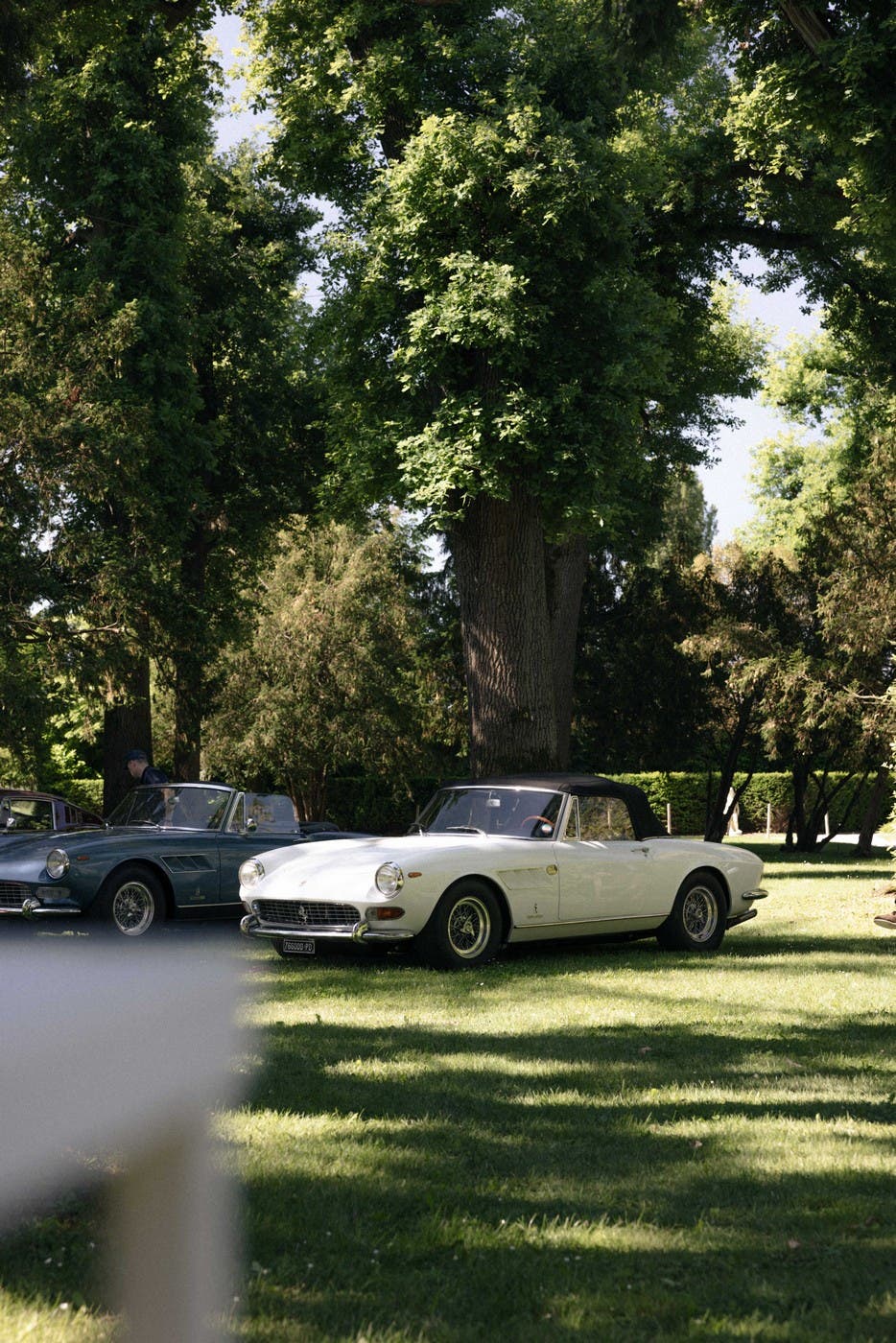Cavallino Classic Modena