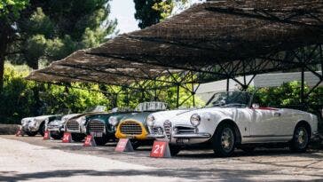 Terre di Canossa Rally