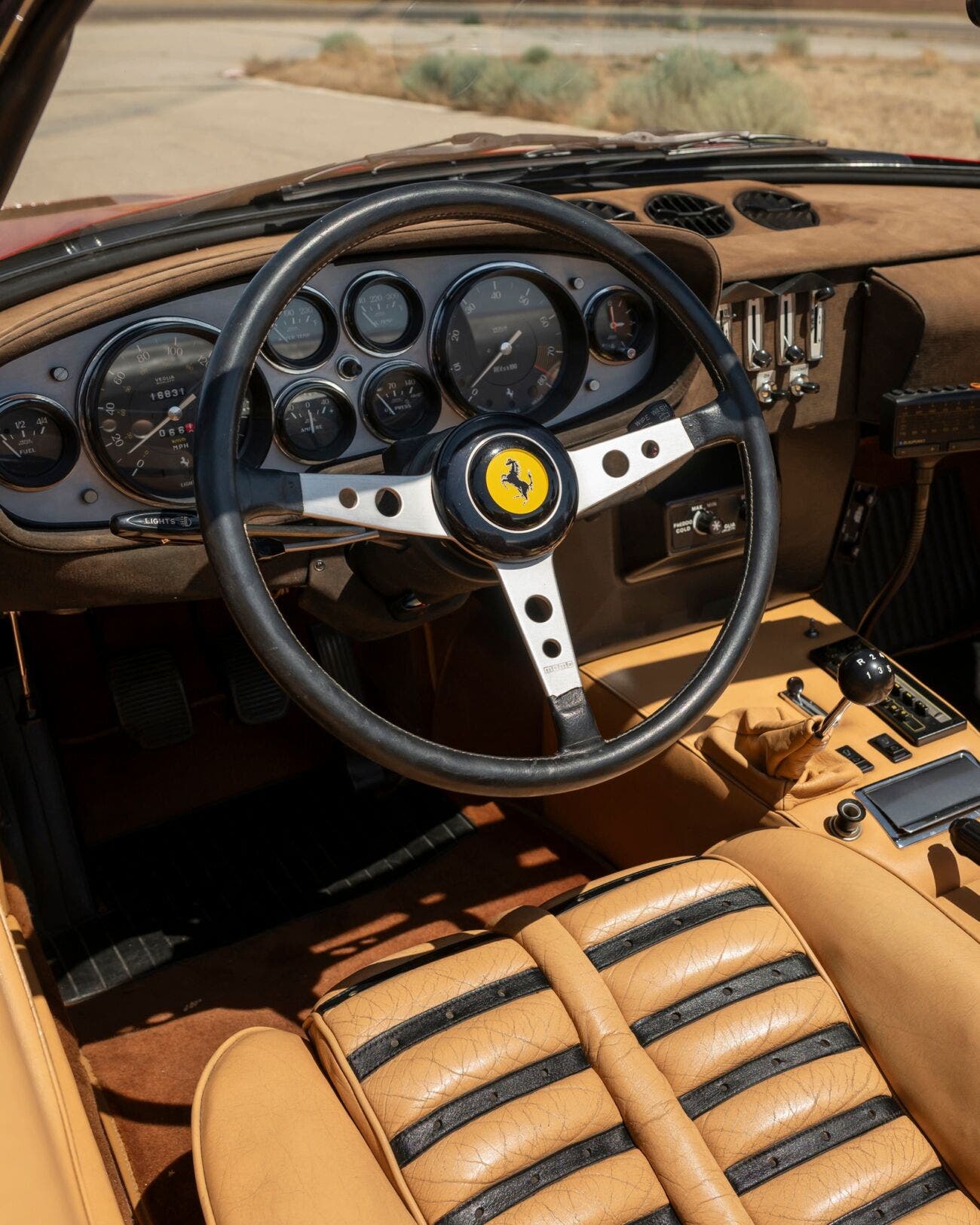 Daytona Spider