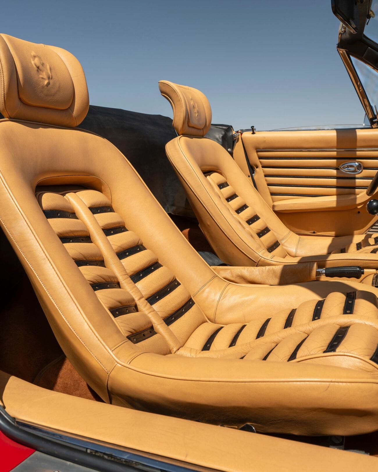 Daytona Spider