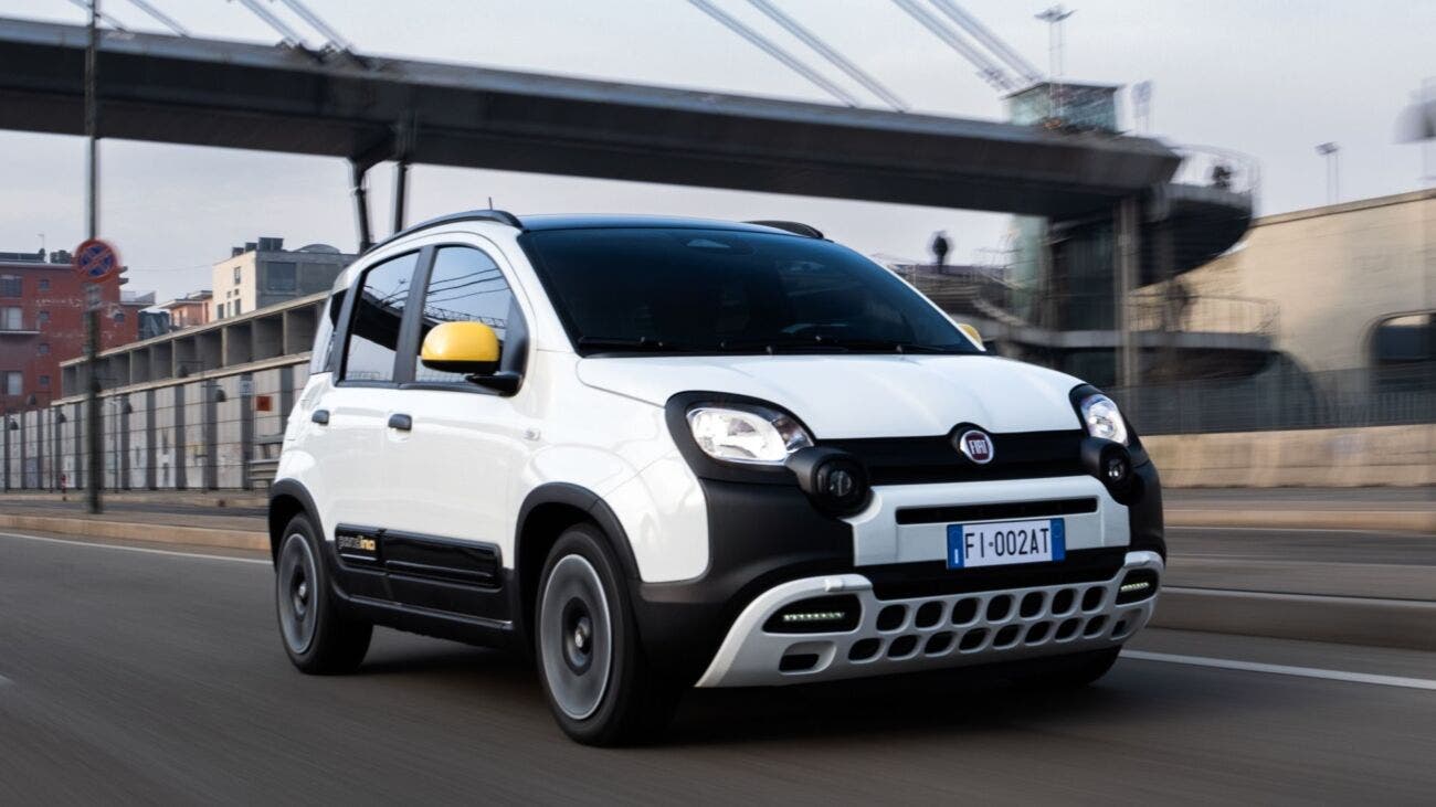 fiat pandina