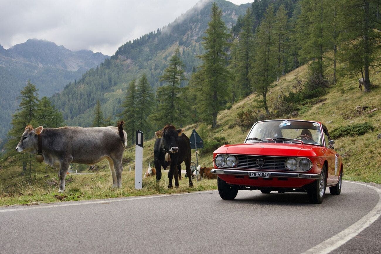 Stella Alpina 2025