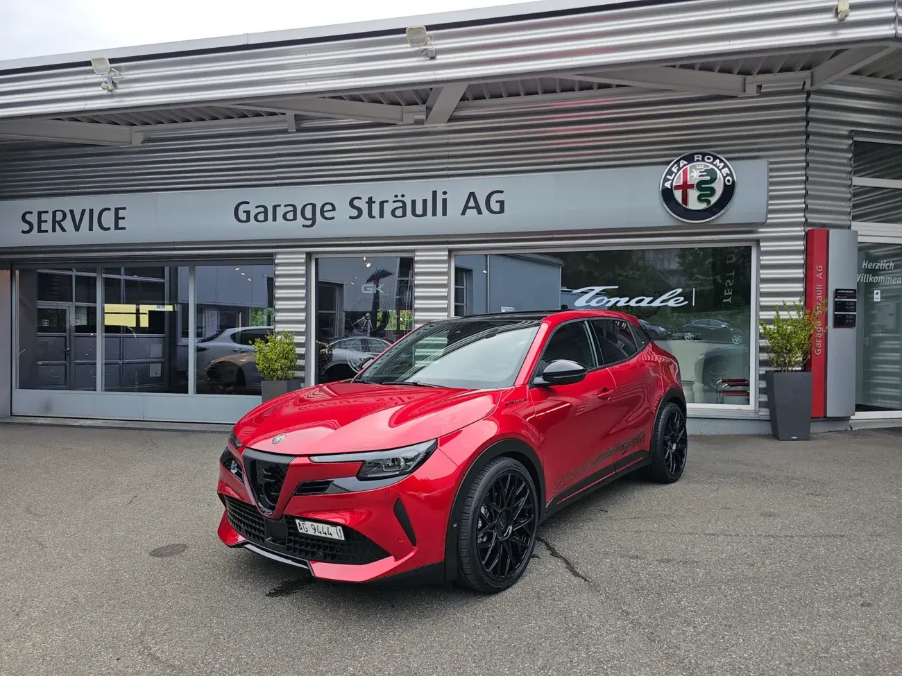 alfa romeo junior Sträulimotorsport Edition