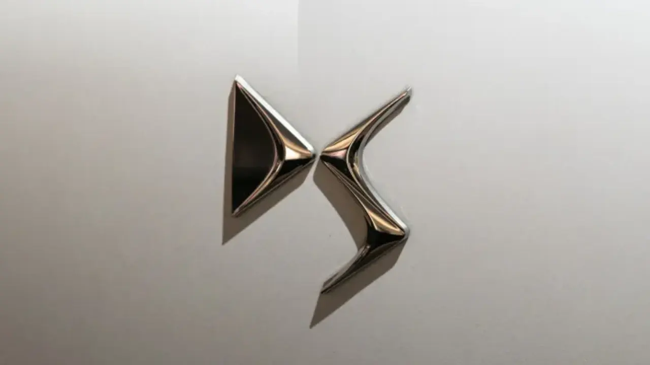ds logo