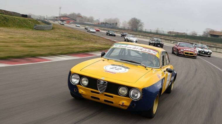 Alfa Romeo Giulia GT Am