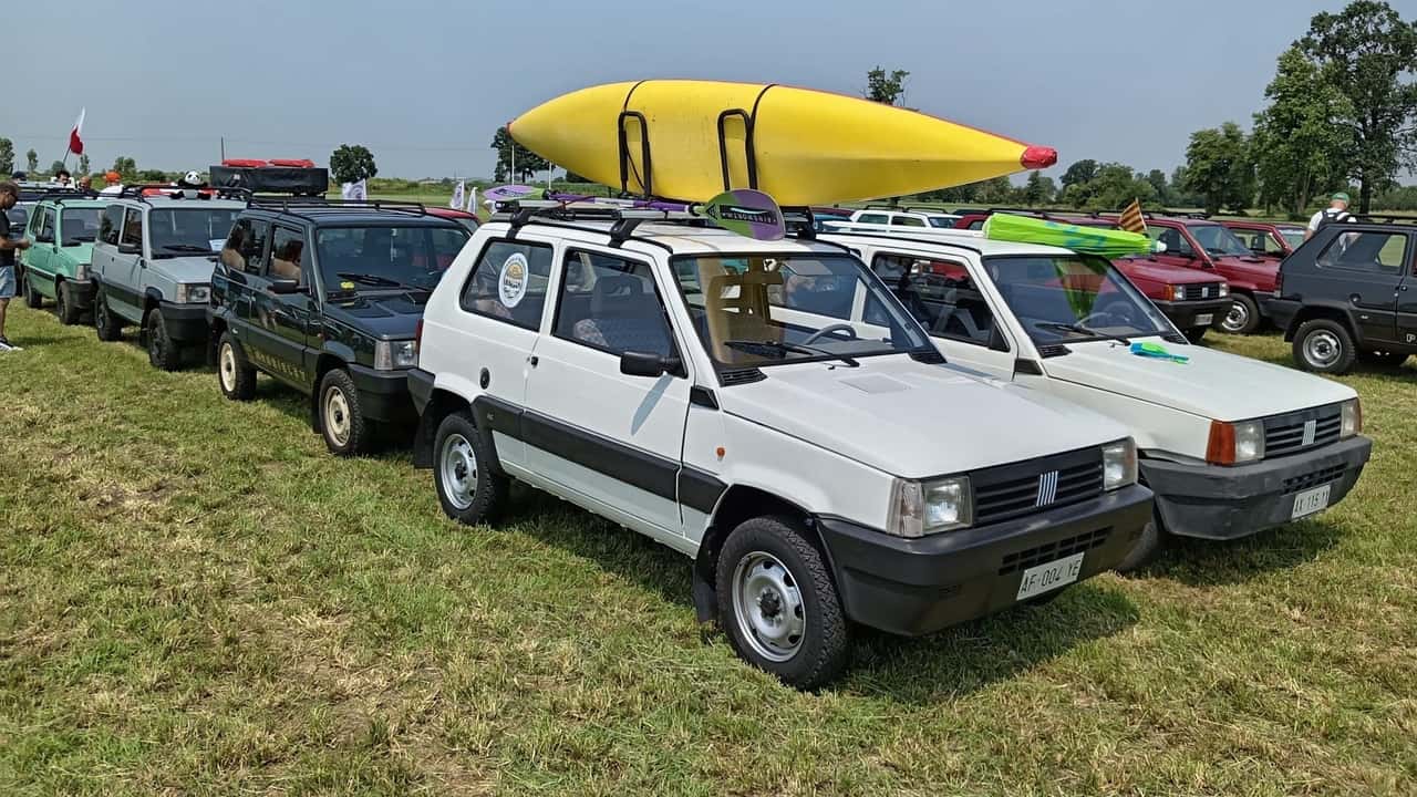 panda a pandino