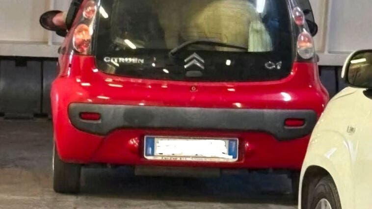 Citroën C1, pony