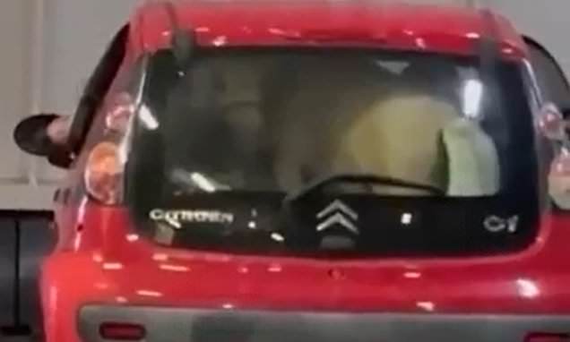 Citroën C1, pony