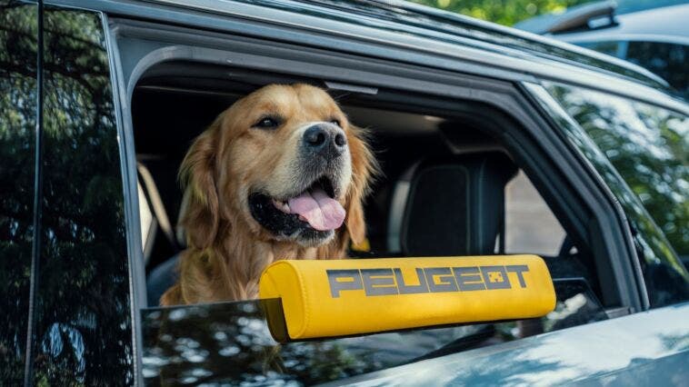 Peugeot E-5008 Dog Edition