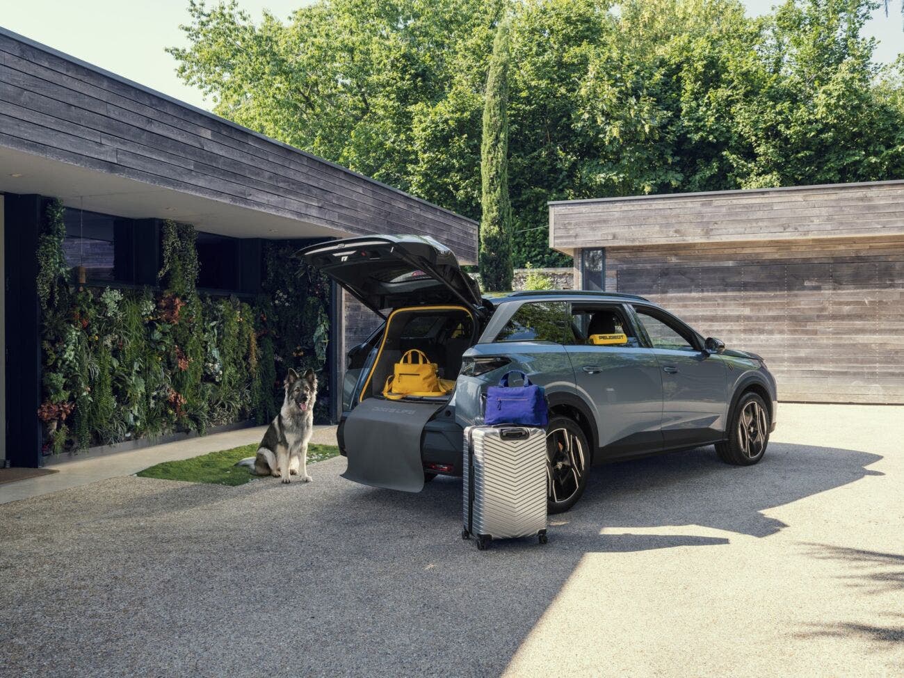 Peugeot E-5008 Dog Edition