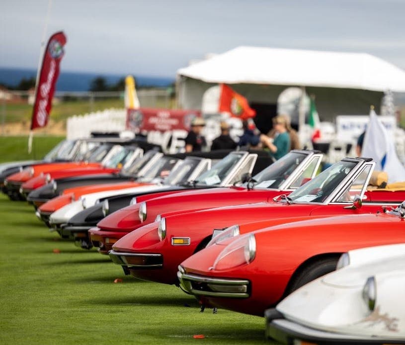 Alfa Romeo Spider