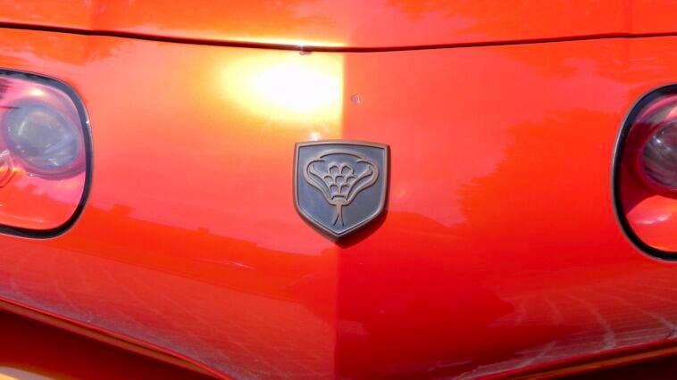 dodge copperhead